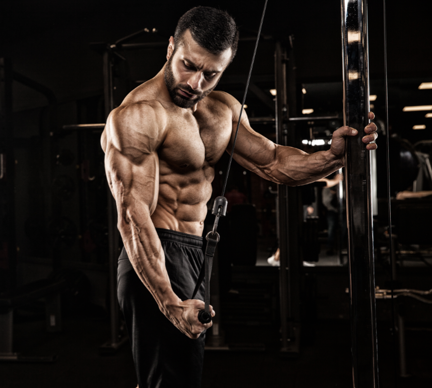 NAUGHTY BODY ARM EXERCISES