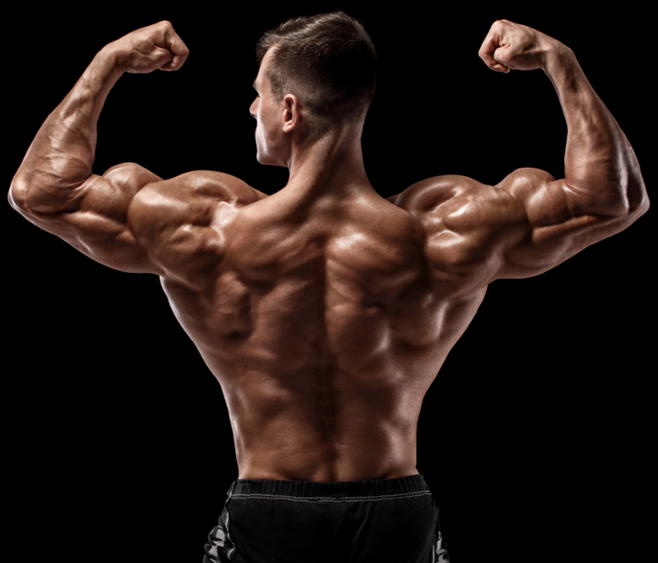naughty body fitness back workout exercise