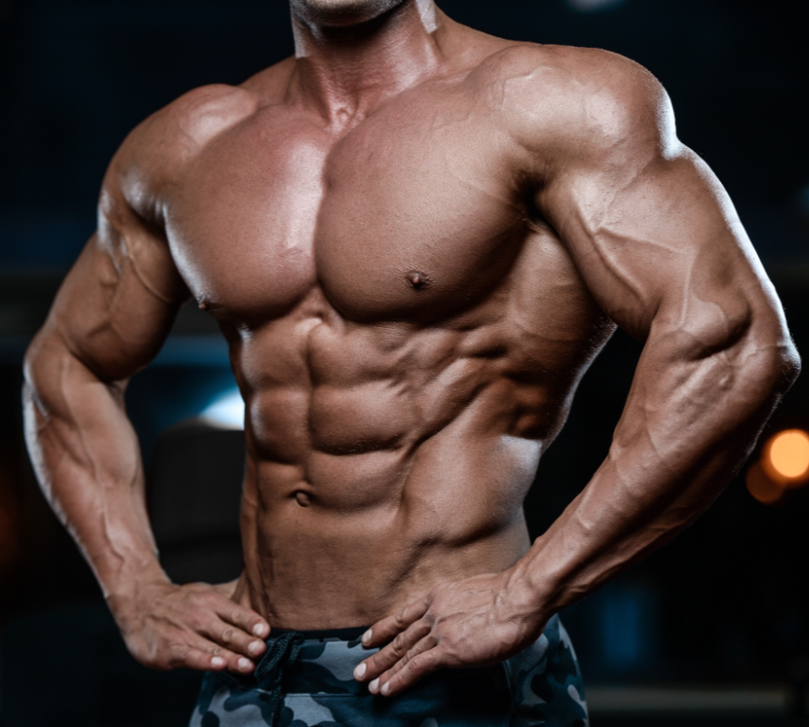chest workout, pec workout, naught body fitness